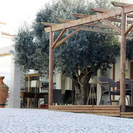 招待所 莫里奴别墅酒店 4*